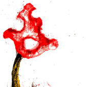 Splacid 的头像