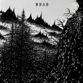 Kvad