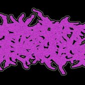 Cake Fart Prolapse logo