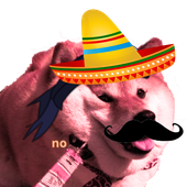 Avatar for Ruisuu_26