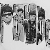 Stray Dogs 2