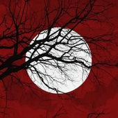 LastFM profile picture for @interacting