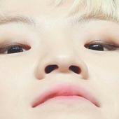 wonwoonie 的头像
