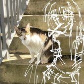 give me a reason - Single