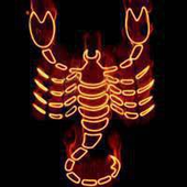 Avatar de orbitalscorpion