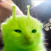 m4ttym00 的头像