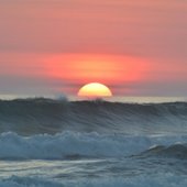 IMG_6268.jpeg