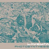 Photosynthesis