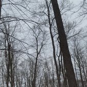 365project.jpg