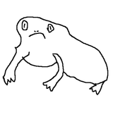wolfluchs 的头像