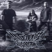 Infectious Algorithm