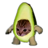 Avatar for ElMayonezo