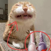 z_eb 的头像