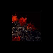 Cedar (feat. Johan Skugge)