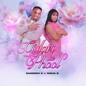 Gulari Ke Phool (feat. Nisha B) - Single