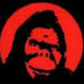 monkeykong さんのアバター