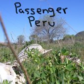 the origins of Passenger Peru...