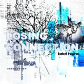 Brief Highs [Explicit]