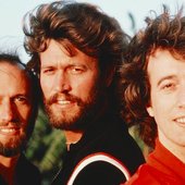 Bee Gees_The Gibbs!