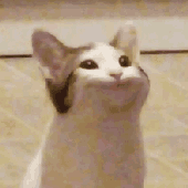 landayolrr_ 的头像