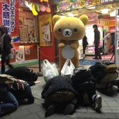 shuutori 的头像