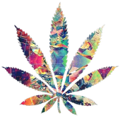 P_X_N 的头像