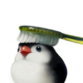 Haku-kun 的头像