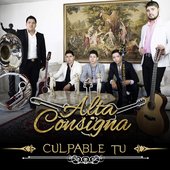 Alta Consigna - Culpable Tu.jpg
