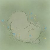 Przeprosinowe Kwiaty