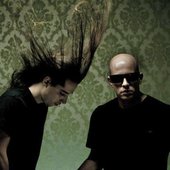 Infected Mushroom