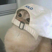 iheartstefan 的头像