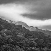 IMG_0741.jpeg