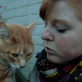 Orange Cat