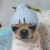 vitinhcapudo 的头像