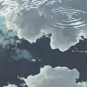 wxndril 的头像