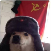 liamsin 的头像