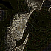 I.v.MARTINEZ (experiMENTALien)