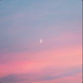 And Peace Will Follow