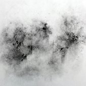 Snow Fled
