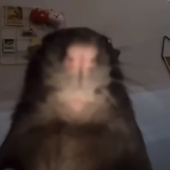 erakerakerak 的头像