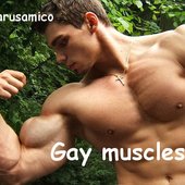 Gay muscles
