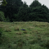 Screenshot 2025-03-24 at 1.41.30 PM.png