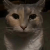 Avatar for moon_vl