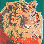 Avatar for stevenbailey