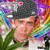 habotan 的头像