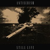 antischism - still life.jpg