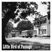 Little Bird of Passage