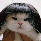 Avatar di larissinho