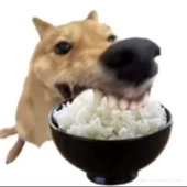 fortnitesexmod 的头像