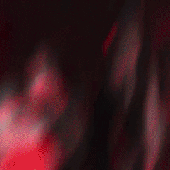 lui gif.gif